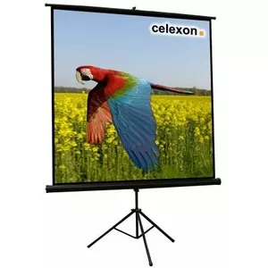 Celexon 1090015 projection screen 1:1