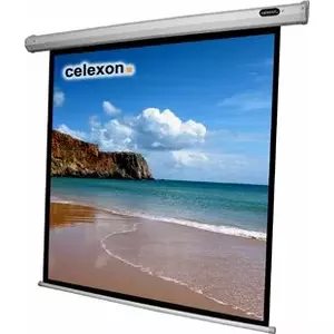 Экран для проектора Celexon 1090068 1:1 (240 x 240 см), чёрный/белый, 19 кг
