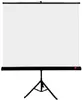 AVTEK TRIPOD Standard 150 Projection Screen Photo 2
