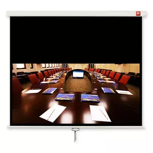 Projection Screen Avtek International Business 280