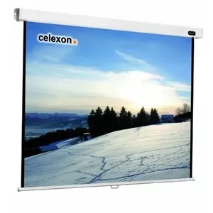 Экран проекционный Celexon 1090044 1:1 квадратный 200x200 см, черно-белый, 14 кг