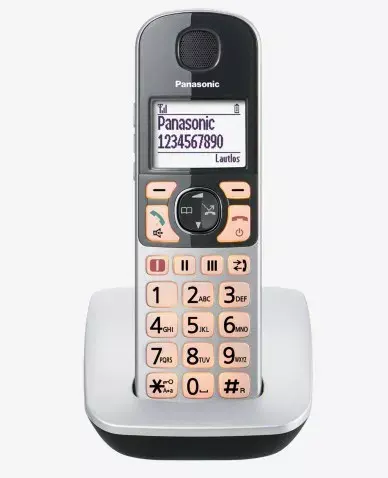 DECT телефон Panasonic KX-TGE510GS Photo 5