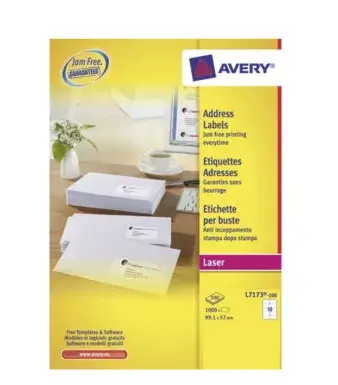Самоклеящаяся этикетка Avery L7173-100 Photo 2