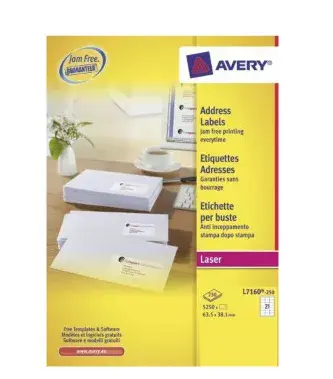 Pašlīmējoša etiķete Avery L7160-250 Photo 2