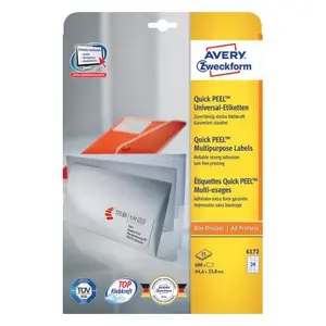 Самоклеящаяся этикетка Прямоугольная Avery 6172