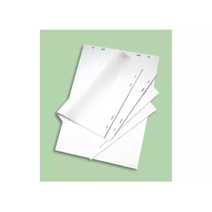 Flipchart pads Nobo Barracuda 40 lapas B1