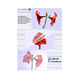 I Migliori Plastificatrici Olympia Per Il 2025 Su - Foto 11