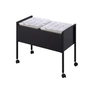 File storage box Durable 100 Duo