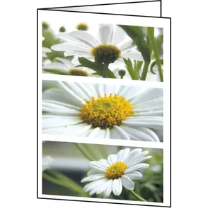 Greeting Card Sigel DC171