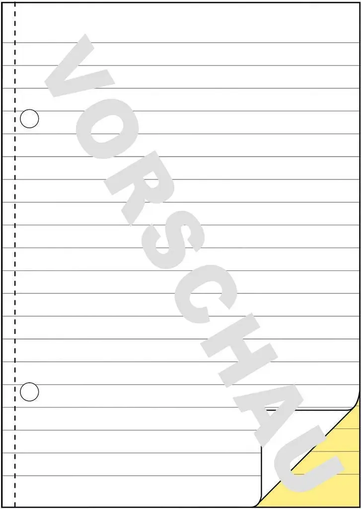 Бухгалтерская форма/книга Avery 1729 Photo 2