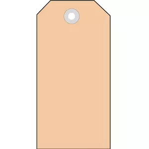 Транспортные бирки HERMA 6018 60x113 мм с пластиковыми люверсами