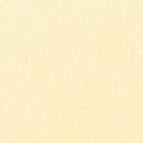 Saistvadu vāki GBC LeatherGrain 250gsm A4 Ivory Photo 4