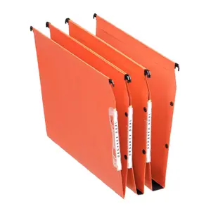 Suspension File Esselte Orgarex Dual