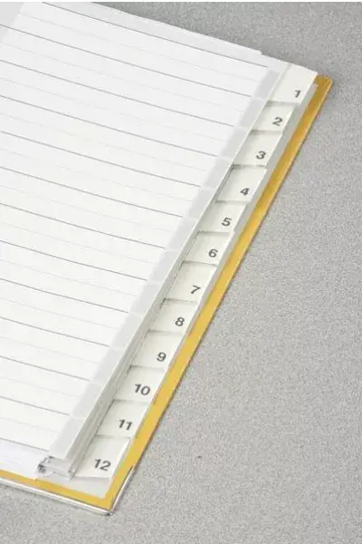 Blank tab index Leitz 12740000 Photo 3