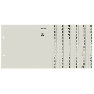 Index Card Leitz 13060085 Grey