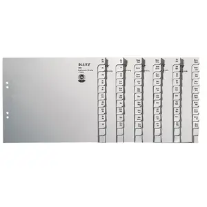 Divider folder LEITZ 13500085, paper, grey, 240×200×75 mm, Blue Angel