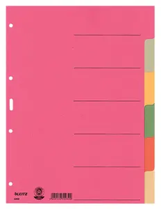 LEITZ 43580000 Blank Tab Index Cardboard Multicolour 25 Pieces
