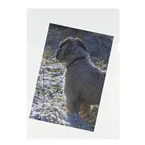 Sheet Protector 10843746 Photo 3