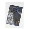 Sheet Protector 10843746 Photo 3