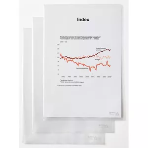 Папка для документов Rexel Standard A4 Прозрачная PVC