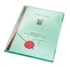Folder PVC Green A4 Leitz 41530055 Photo 2