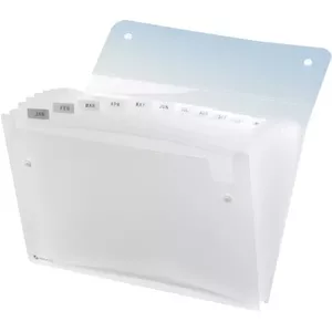 Expander 13-Pocket Clear Rexel ICE