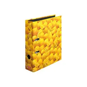 Ring binder Herlitz 10546901 A4 Multicolour
