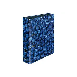 Ring binder Herlitz 11080660 A4 Multicolour