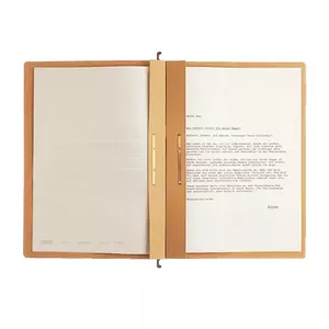Hanging folder Leitz Alpha A4 Cardboard Polypropylene Brown