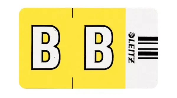 Self-adhesive label Leitz Orgacolor Rounded rectangle Photo 2