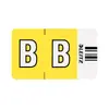 Self-adhesive label Leitz Orgacolor Rounded rectangle Photo 2