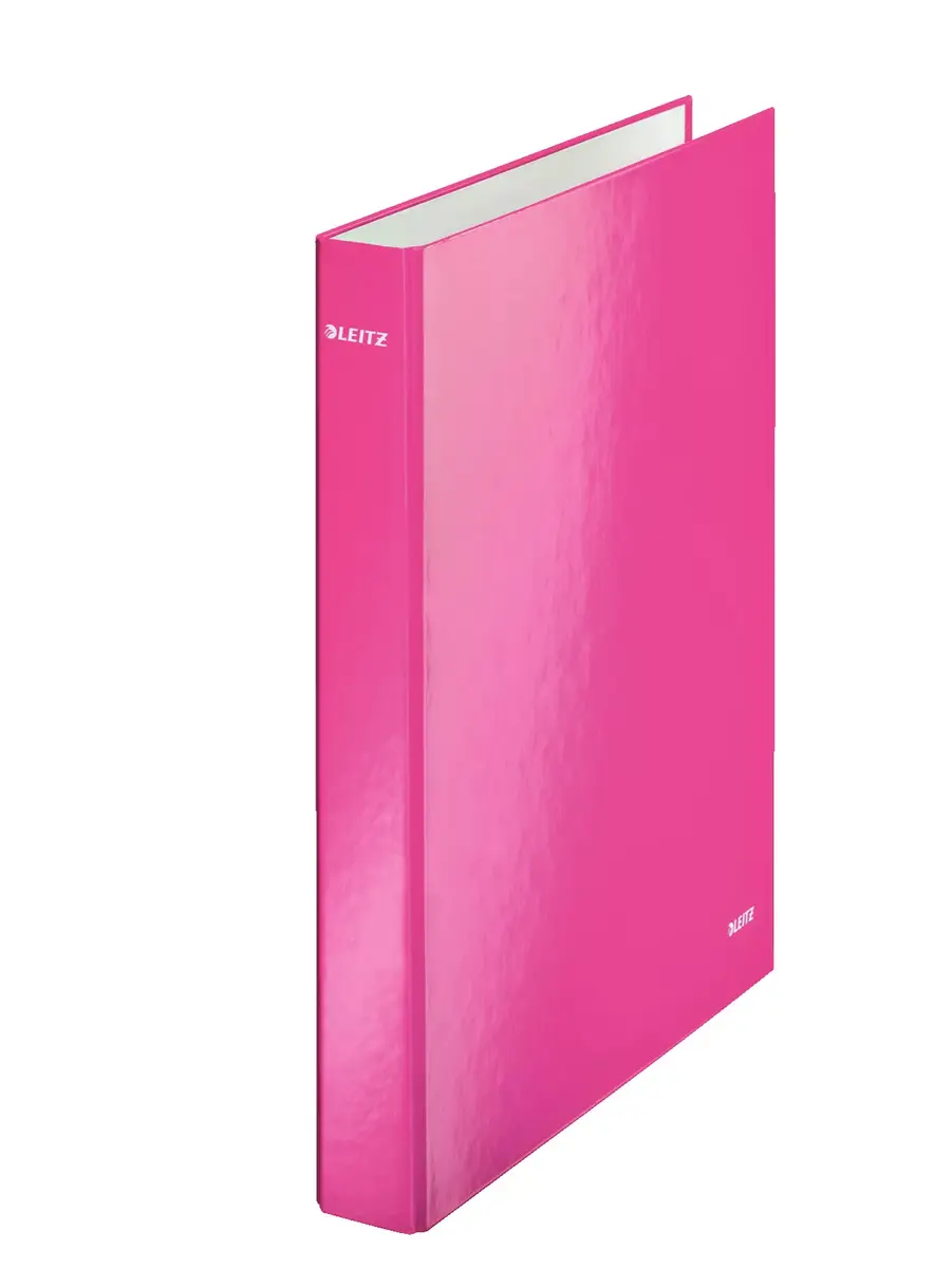 Ring binder Leitz 42410023 Photo 2
