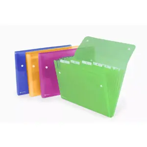 Expander Folder Rexel ICE 6-Pocket Assorted