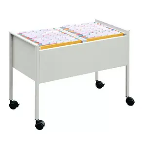 File storage box Durable 100 Duo Stainless steel Grey