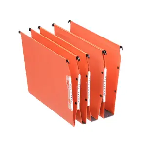 Suspension File Esselte Orgarex Dual A4
