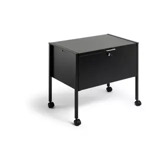 Коробка для хранения документов Durable 309801