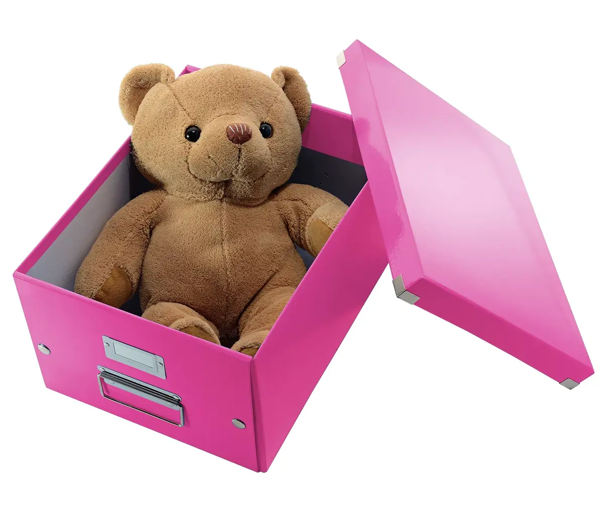 Uzglabāšanas kaste Leitz Click & Store Medium Box Photo 4