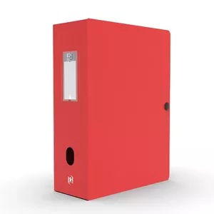 File storage box Oxford 100200126