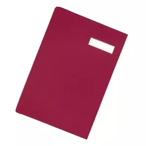 Conventional file folder Pagna 24191-11