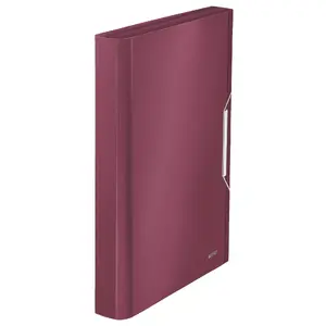 Box File Leitz 39570028 Red Polypropylene 250 Sheets
