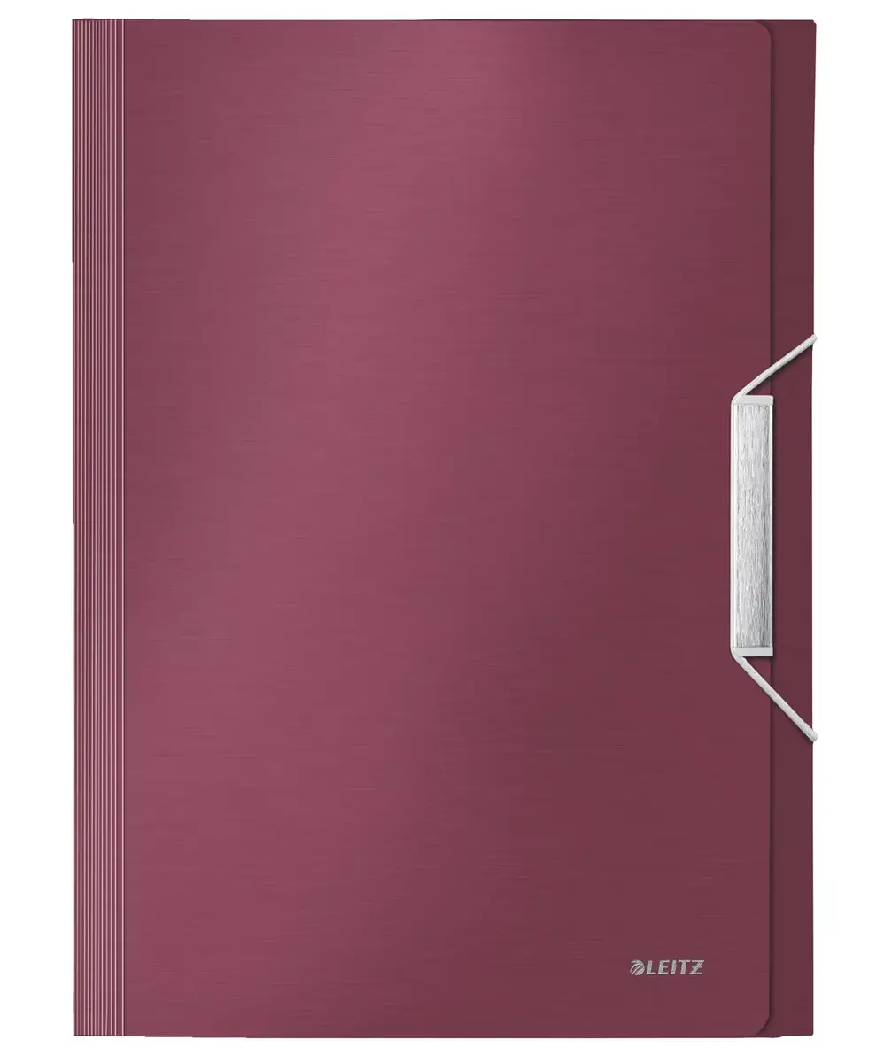 Box File Leitz 39570028 Photo 2