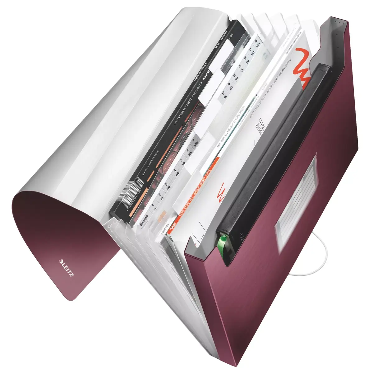Box File Leitz 39570028 Photo 3