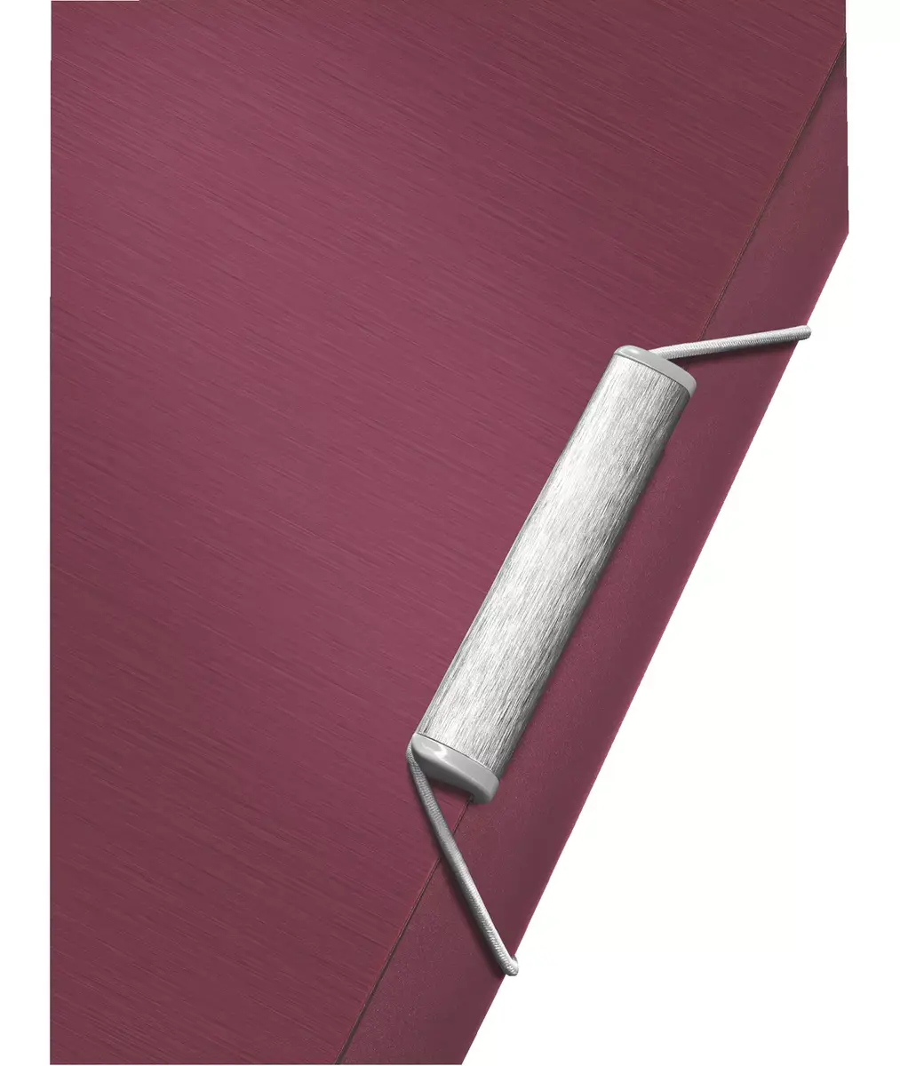 Box File Leitz 39570028 Photo 4