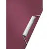 Box File Leitz 39570028 Photo 4