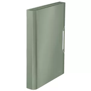 Box File Leitz 39570053 Green Polypropylene 250 Sheets