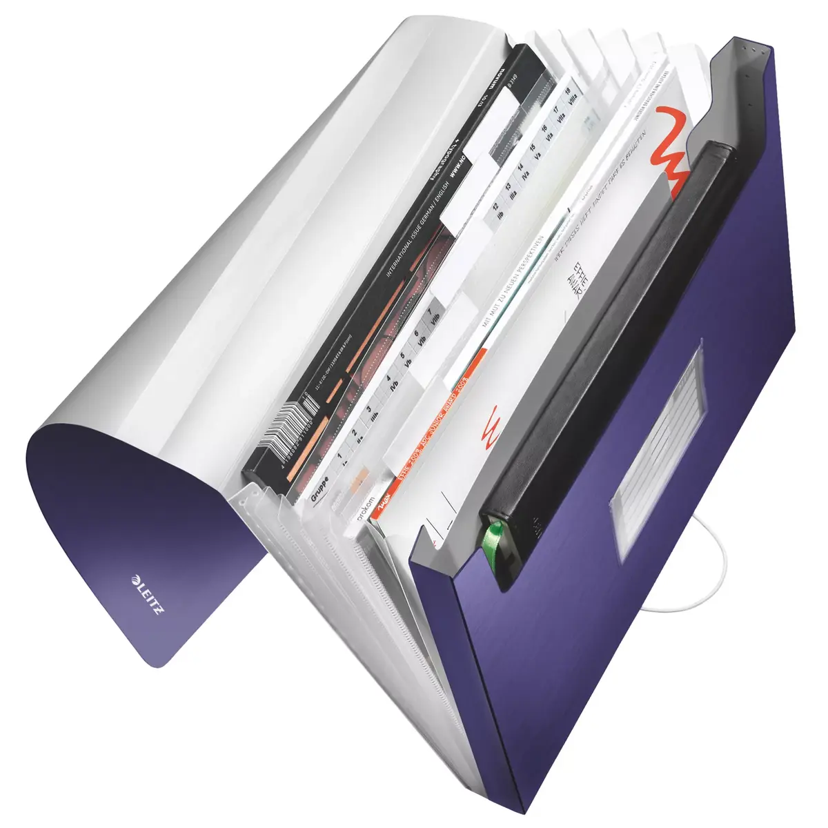 Box File Leitz 39570069 Photo 2