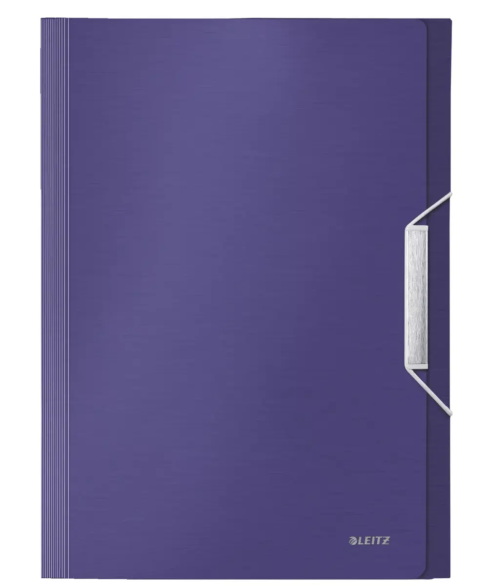 Box File Leitz 39570069 Photo 4