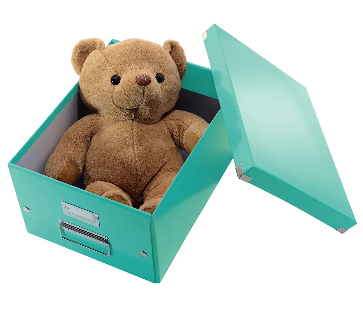 Storage Box Leitz Click & Store Medium Box Photo 4