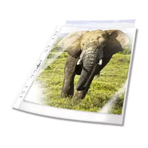 Durable 265819 Sheet Protectors, Transparent, 100 Pieces
