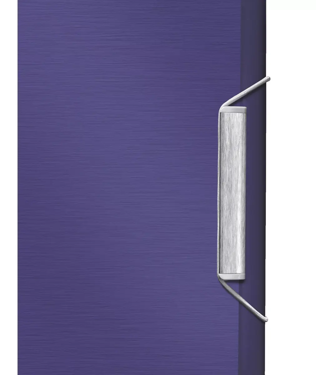 Folder LEITZ 39950069 — PP A4 Blue Photo 3